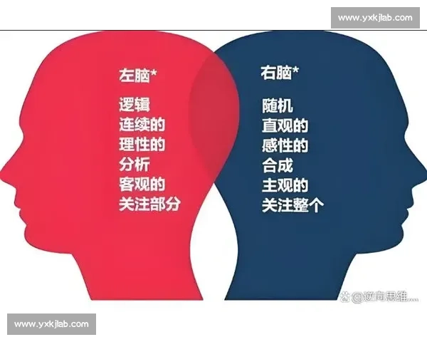 耀威猜与善猜的智慧碰撞探索：如何平衡直觉与理性思维的交织