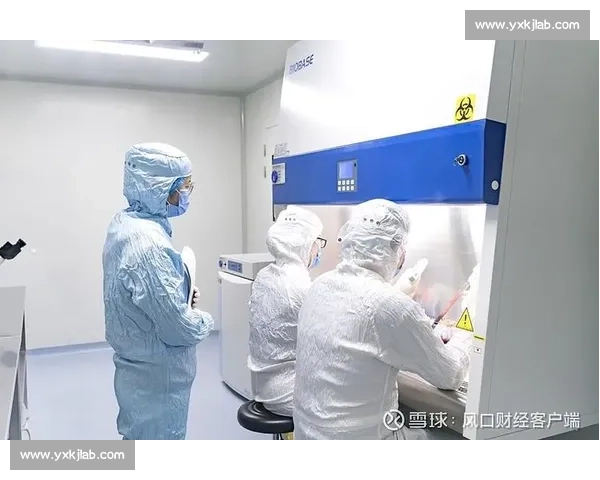 青岛对阵厦门城市实力与发展潜力的全面比较观察经济文化创新活力